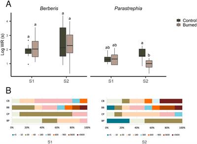 Soil Degradation Evidence Following a Wildfire in Arequipa’s Andean Region, Peru